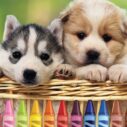 4gameground puppy coloring
