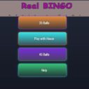 BINGO Real 8 bingo real 1