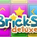 Bricks Deluxe 10 bricks deluxe 1
