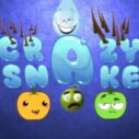 crazysnake