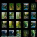 memorize nature 7 memorize nature