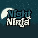 Night Ninja 9 night ninja 1