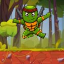 Turtle Ninja 10 turtle ninja