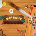 Zap knife: Knife Hit to target 6 zap knife knife hit to target